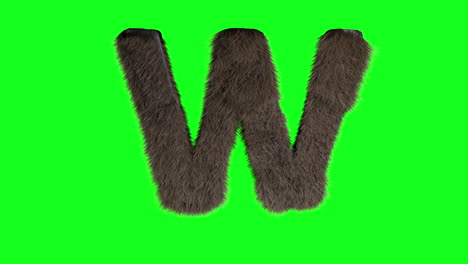 Abstract-hairy-letter-W-sign-fluffy-furry